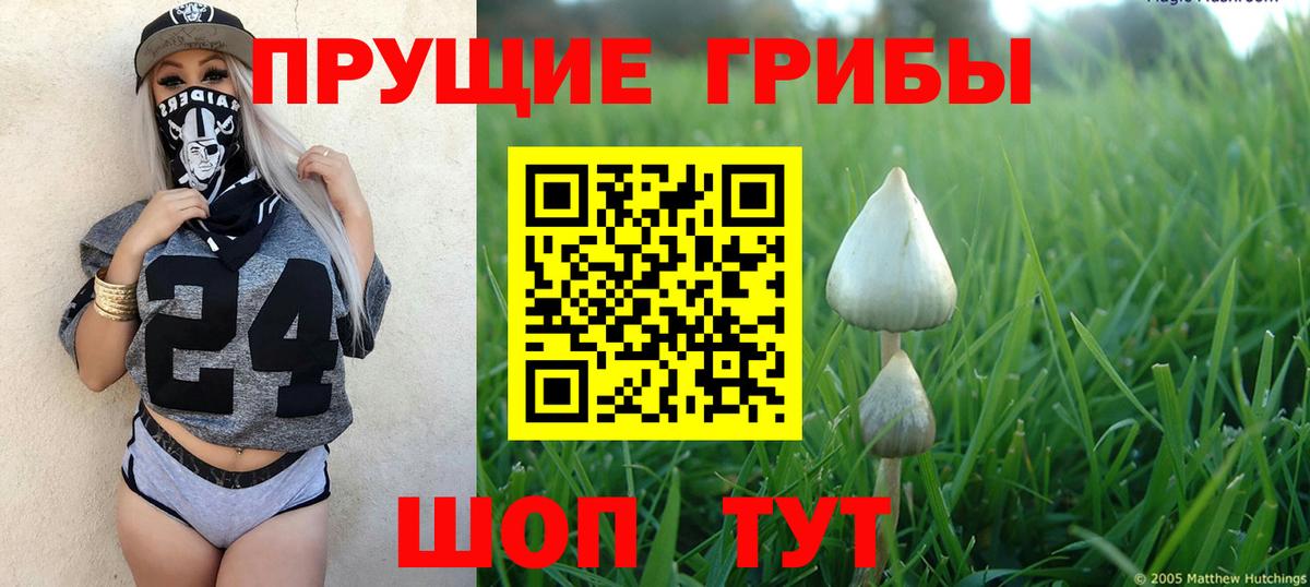 Галлюциногенные грибы GOLDEN TEACHER Камышин